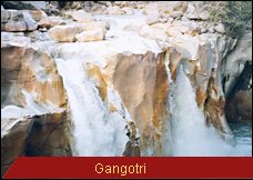 Travel Monitor India