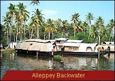 Travel Monitor India