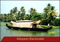 Travel Monitor India