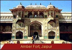 Travel Monitor India