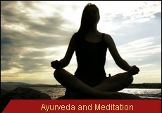 Travel Monitor India