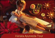 Travel Monitor India