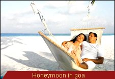 Travel Monitor India