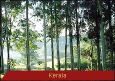 Travel Monitor India