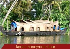 Travel Monitor India