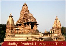 Travel Monitor India