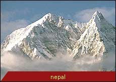 Travel Monitor India