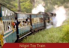 Travel Monitor India