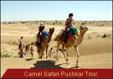 Travel Monitor India