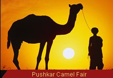 Travel Monitor India