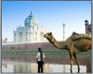Golden Triangle Travel Tours, Golden triangle tour operator